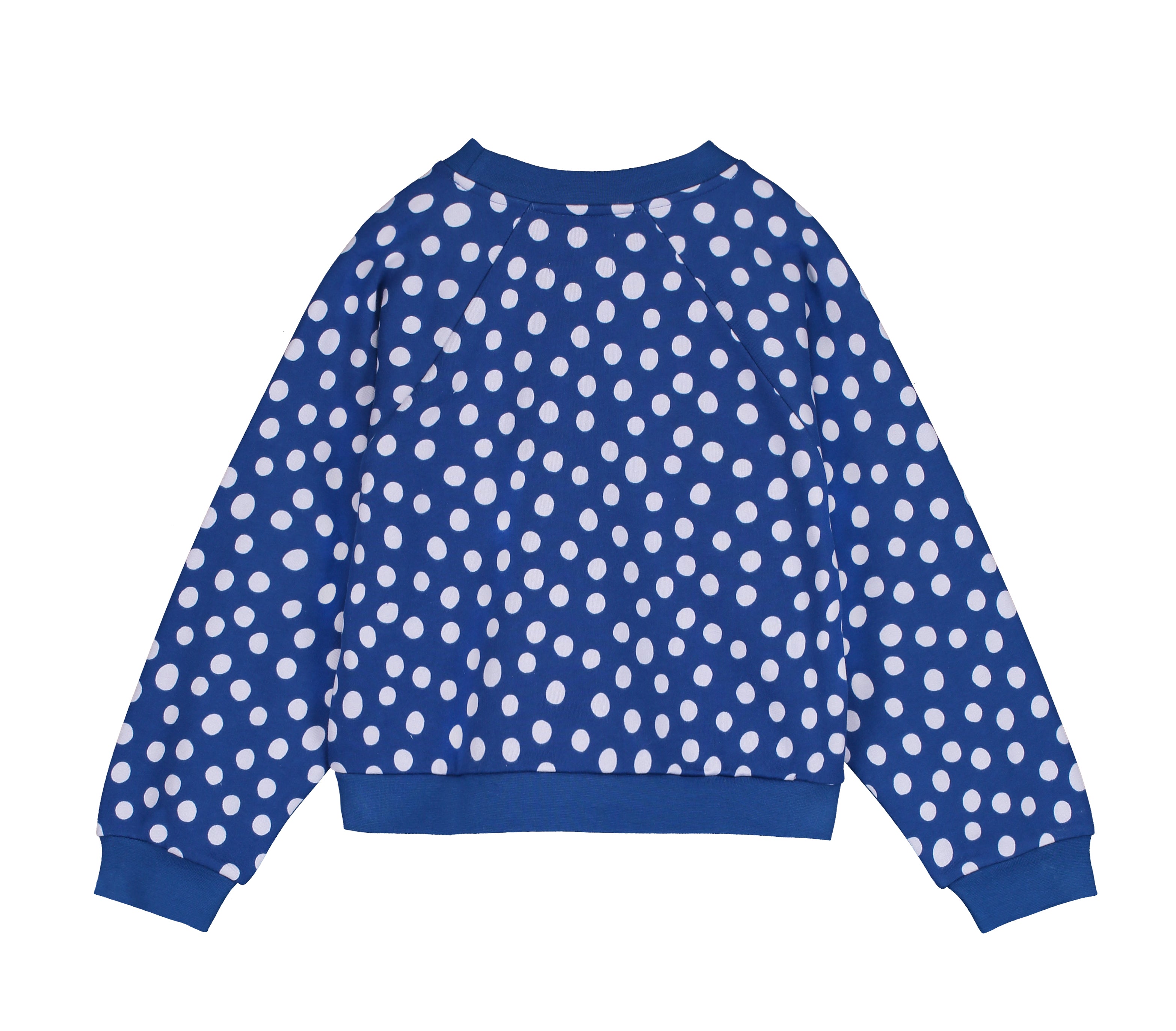 Sweatshirt Pablo Navy dot